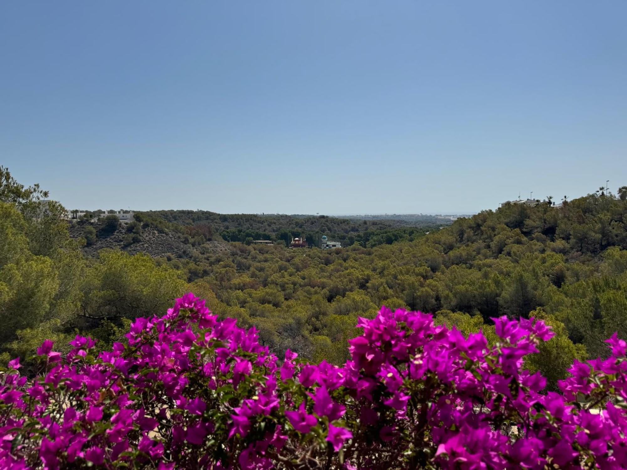 Orihuela - Las Ramblas - Casa Pino Dehesa de Campoamor  Zewnętrze zdjęcie